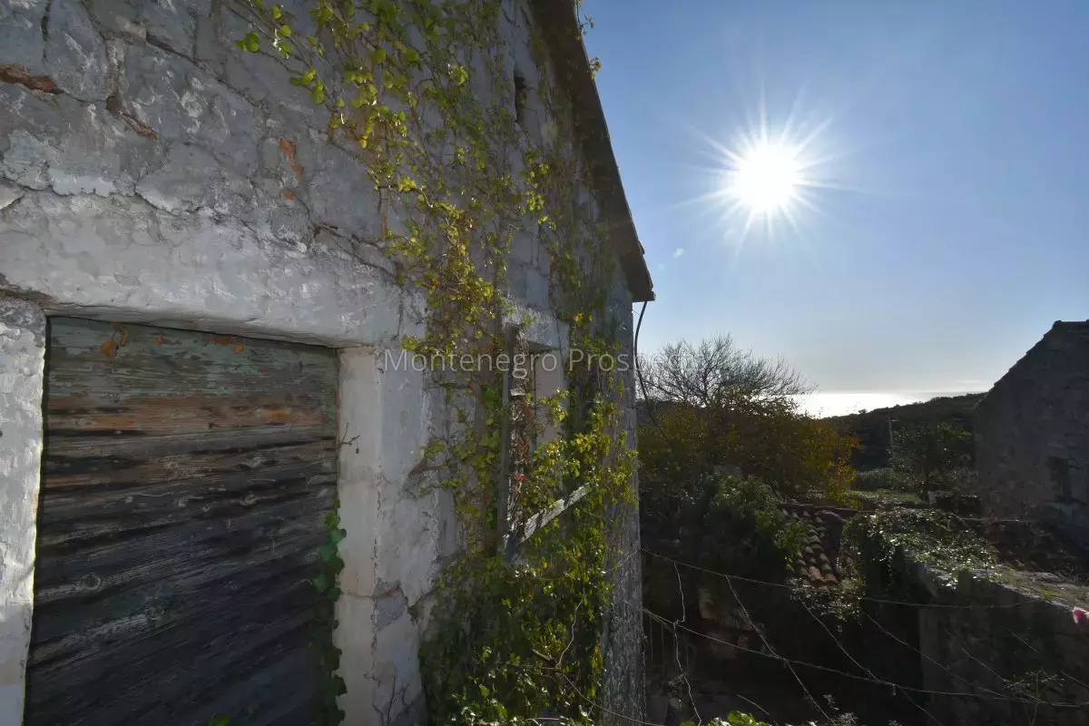 2074 stone ruin in lustica 15