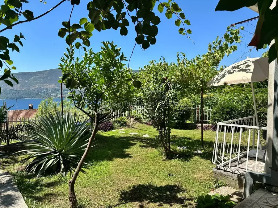 14166 two studios for sale in herceg novi 4