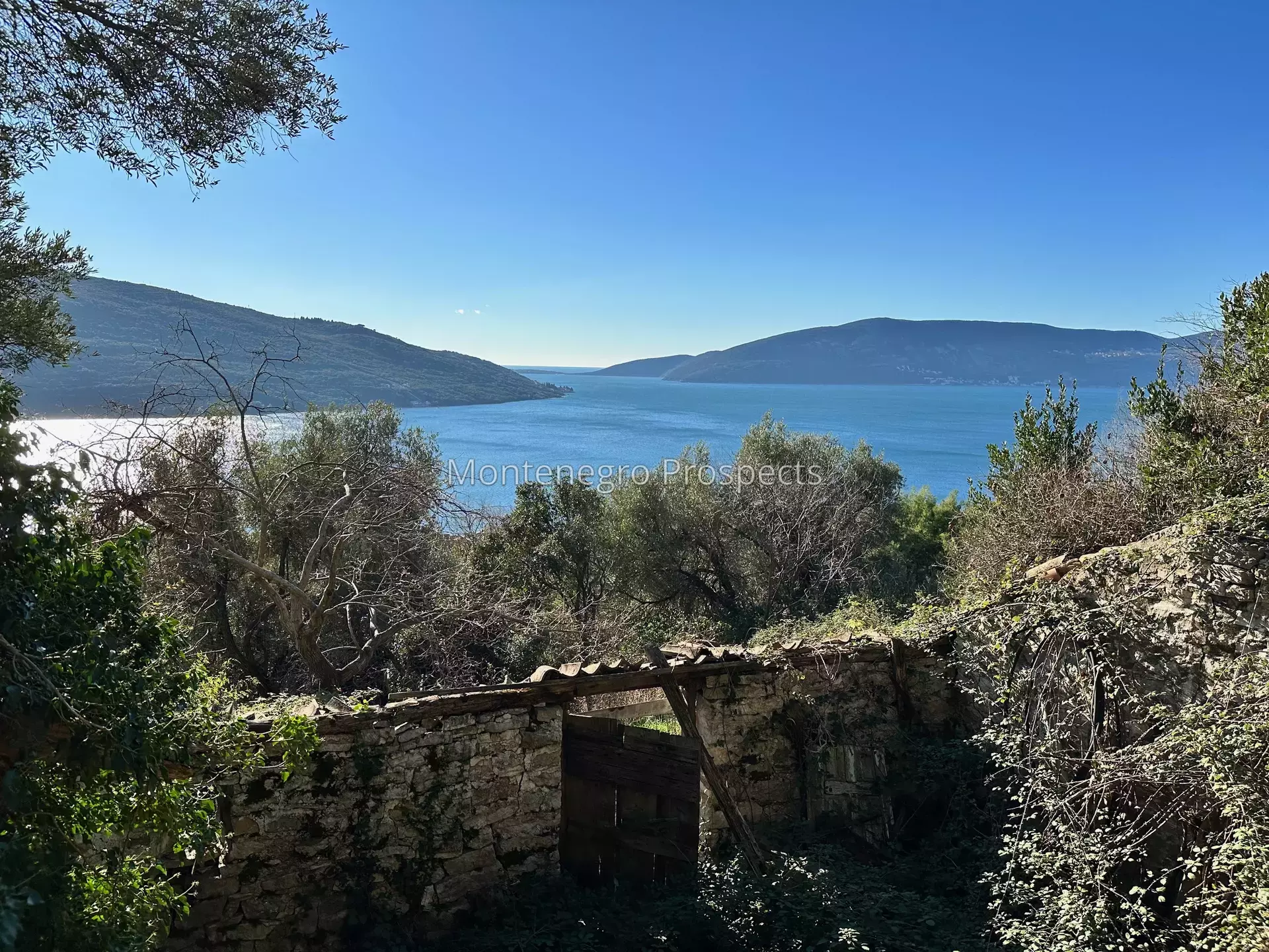 14144 plot in kumbor for sale 8.jpg