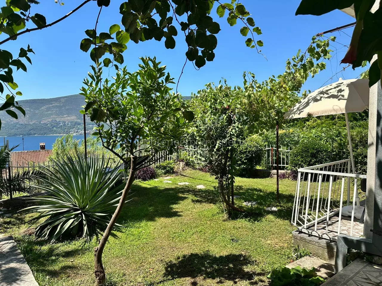 14166 two studios for sale in herceg novi 4